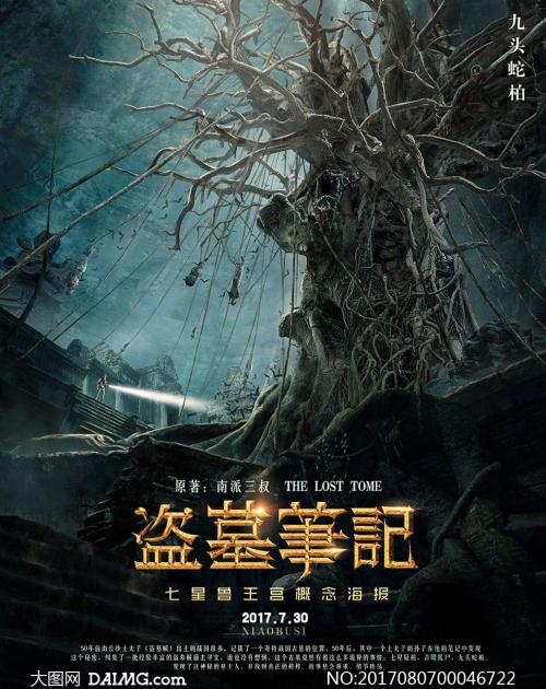 学历证书编号怎么填写